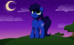 Size: 4096x2496 | Tagged: safe, artist:kittyrosie, oc, oc only, earth pony, pony, commission, cute, looking up, male, moon, night, ocbetes, smiling, solo, stallion, standing, stargazing