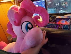 Size: 4032x3024 | Tagged: safe, artist:lanacraft, photographer:crescent star, pinkie pie, earth pony, pony, g4, bubble berry, computer, eve online, irl, male, offscreen character, photo, plushie, pov, rule 63