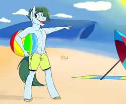 Size: 1080x892 | Tagged: safe, artist:sarianabt, oc, oc only, oc:summer fluff, anthro, anthro oc, beach, beach ball, clothes, male, ocean, partial nudity, smiling, stallion, swimming trunks, topless