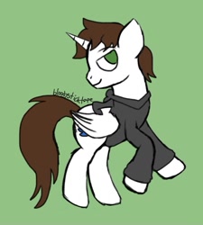 Size: 799x889 | Tagged: safe, artist:bloodysticktape, oc, oc only, oc:rye wavecrest, alicorn, pony, alicorn oc, clothes, eyebrows, eyebrows visible through hair, folded wings, green background, hoodie, horn, male, no pupils, signature, simple background, smiling, smirk, solo, stallion, wings