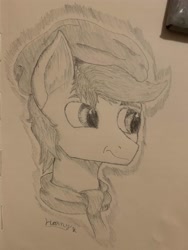 Size: 3024x4032 | Tagged: artist needed, safe, oc, oc only, oc:apex soundwave, earth pony, pony, beanie, bust, clothes, frown, hat, male, monochrome, scarf, stallion, traditional art