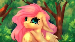 Size: 1920x1080 | Tagged: safe, artist:elektra-gertly, fluttershy, pegasus, pony, g4, bust, cute, ear fluff, female, floppy ears, forest, looking at you, looking back, looking back at you, mare, outdoors, portrait, shoulder fluff, shyabetes, solo, spread wings, three quarter view, tree, turned head, wallpaper, wing fluff, wings