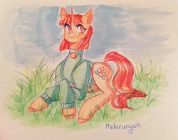 Size: 1600x1261 | Tagged: safe, artist:malarunych, oc, oc only, pony, unicorn, clothes, cutie mark, grass, horn, solo, traditional art, unicorn oc