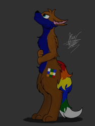 Size: 900x1200 | Tagged: safe, artist:jay_wackal, oc, oc only, oc:rubik, fox, anthro, anthro oc, furry, furry oc, looking up, male, not pony, original character do not steal, solo