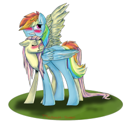 Size: 950x930 | Tagged: safe, artist:buff-spud, fluttershy, rainbow dash, pegasus, pony, g4, blushing, female, lesbian, mare, neck nuzzle, ship:flutterdash, shipping, simple background, spread wings, transparent background, wings