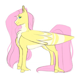 Size: 1280x1280 | Tagged: safe, artist:vintage-rec, fluttershy, pegasus, pony, g4, concave belly, countershading, female, lanky, large wings, mare, no pupils, pale belly, profile, simple background, skinny, solo, thin, unshorn fetlocks, white background, wings