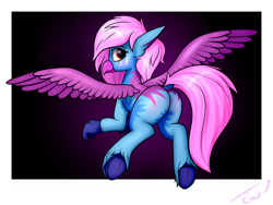 Size: 4000x3000 | Tagged: safe, artist:colourwave, oc, oc only, oc:riva stars, classical hippogriff, hippogriff, butt, claws, commission, feathered wings, female, flying, frog (hoof), gradient background, looking at you, looking back, looking back at you, outline, plot, polaroid, simple background, solo, spread wings, underhoof, unshorn fetlocks, white outline, wings