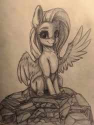 Size: 1536x2048 | Tagged: safe, artist:miokomata, fluttershy, pegasus, pony, g4, cute, female, freckles, freckleshy, grayscale, mare, monochrome, one wing out, pencil drawing, shyabetes, sitting, solo, traditional art, wings