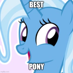Size: 500x500 | Tagged: safe, trixie, pony, g4, best pony, bust, caption, image macro, looking at you, shitposting, solo, text, truth