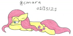 Size: 1191x585 | Tagged: safe, artist:cmara, fluttershy, pegasus, pony, g4, female, mare, simple background, solo, traditional art, white background