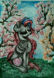 Size: 425x604 | Tagged: safe, artist:maryhoovesfield, oc, oc only, pegasus, pony, cherry blossoms, cherry tree, chest fluff, ear fluff, eyelashes, eyes closed, female, flower, flower blossom, grass, mare, outdoors, pegasus oc, signature, sitting, solo, traditional art, tree, wings