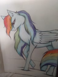 Size: 1944x2592 | Tagged: safe, artist:winterclaws22, rainbow dash, pegasus, pony, g4, paper, solo, traditional art