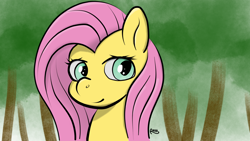 Size: 1920x1080 | Tagged: safe, artist:rossponeart, fluttershy, pegasus, pony, g4, bust, female, forest, head, looking at you, mare, portrait, solo, three quarter view, wallpaper