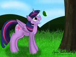 Size: 1280x963 | Tagged: safe, artist:small-brooke1998, twilight sparkle, alicorn, pony, g4, distraction, drool, intelligence loss, leaf, mental regression, reference, solo, story in the source, tree, twilight sparkle (alicorn)