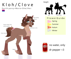 Size: 4500x3750 | Tagged: safe, artist:ohhoneybee, oc, oc only, oc:kloh, earth pony, pony, coat markings, dr pepper, facial markings, female, mare, reference sheet, solo, star (coat marking)