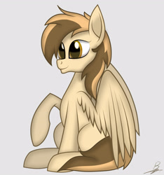 Size: 3000x3200 | Tagged: safe, artist:benzayngcup, artist:spinostud, oc, oc only, pegasus, pony, high res, solo