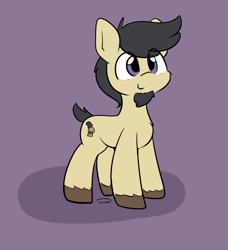 Size: 1005x1101 | Tagged: safe, artist:taurson, oc, oc only, oc:gameburger, earth pony, pony, cute, eye clipping through hair, facial hair, goatee, looking up, male, short tail, smiling, solo