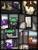 Size: 1750x2333 | Tagged: safe, artist:99999999000, oc, oc:firearm king, oc:li anna, oc:mar baolin, oc:zhang cathy, earth pony, pegasus, pony, unicorn, comic:outing, cellphone, comic, driving, female, glasses, phone, smartphone, what is love