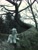 Size: 1944x2592 | Tagged: safe, artist:adamar44, lyra heartstrings, pony, unicorn, g4, irl, nature, photo, plushie, poland, solo, tree