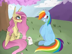 Size: 1080x810 | Tagged: safe, artist:laurawithacat, artist:princessesmeraldaofficial, angel bunny, fluttershy, rainbow dash, pegasus, pony, rabbit, g4, animal, blushing, cloud, collaboration, female, grin, lesbian, lesbian in front of boys, long ears, male, mare, mountain, outdoors, raised hoof, ship:flutterdash, shipping, signature, smiling, tree