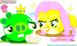 Size: 1014x613 | Tagged: safe, artist:meganlovesangrybirds, fluttershy, bird, pig, g4, angry, angry birds, birdified, crossover, egg, green pig, king pig, species swap, stare, the stare