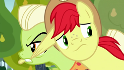 Size: 1280x720 | Tagged: safe, screencap, bright mac, granny smith, earth pony, pony, g4, the perfect pear, biting, ear bite, female, male, mare, mother and child, mother and son, pulling, stallion
