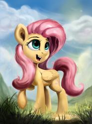 Size: 1440x1949 | Tagged: safe, artist:rbtm233, fluttershy, pegasus, pony, g4, cloud, cloudy, cute, female, folded wings, grass, looking away, looking up, mare, open mouth, outdoors, raised hoof, shyabetes, smiling, solo, standing, turned head, wings