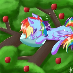 Size: 2213x2213 | Tagged: safe, artist:galaxy swirl, derpibooru exclusive, rainbow dash, pegasus, pony, g4, apple, apple tree, cute, dashabetes, ear fluff, eyebrows, eyebrows visible through hair, eyes closed, female, high res, lying down, mare, onomatopoeia, open mouth, pillow, prone, sitting in a tree, sleeping, solo, sound effects, tree, tree branch, zzz