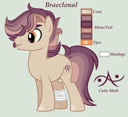 Size: 1280x1170 | Tagged: safe, artist:lominicinfinity, oc, oc only, oc:braeclonal, earth pony, pony, male, offspring, parent:daring do, parent:doctor caballeron, parents:daballeron, reference sheet, simple background, solo, stallion