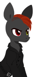 Size: 1942x4000 | Tagged: safe, artist:belka-sempai, oc, oc only, earth pony, pony, belt, clothes, earth pony oc, heterochromia, simple background, solo, transparent background