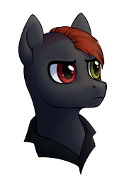 Size: 1452x2000 | Tagged: safe, alternate version, artist:belka-sempai, oc, oc only, earth pony, pony, alternate design, belt, clothes, earth pony oc, heterochromia, simple background, solo, transparent background