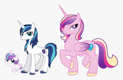 Size: 1868x1220 | Tagged: safe, artist:lockhe4rt, artist:whalepornoz, princess cadance, princess flurry heart, shining armor, alicorn, pony, unicorn, g4, baby, baby blizzard heart, baby pony, child, colt, colt blizzard heart, father, father and child, father and son, female, gleaming shield, husband, husband and wife, male, mare, mother, mother and child, mother and son, prince blizzard heart, prince bolero, rule 63, ship:gleaming bolero, ship:shiningcadance, shipping, show accurate, simple background, son, stallion, straight, vector, white background, wife