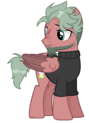 Size: 1280x1765 | Tagged: safe, artist:tired-horse-studios, oc, oc only, pegasus, pony, clothes, male, simple background, solo, stallion, sweater, transparent background, two toned wings, wings