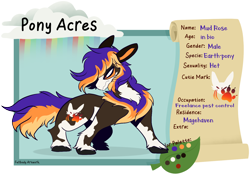 Size: 1474x1030 | Tagged: safe, artist:splairr, oc, oc only, earth pony, pony, chest fluff, earth pony oc, male, reference sheet, simple background, solo, stallion, story included, transparent background, unshorn fetlocks