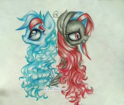 Size: 1024x874 | Tagged: safe, artist:maryhoovesfield, oc, oc only, earth pony, pegasus, pony, bust, duo, earth pony oc, eyelashes, pegasus oc, signature, traditional art, wings, worried