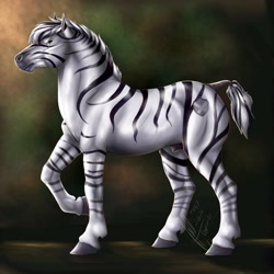 Size: 3000x3000 | Tagged: safe, artist:depixelator, oc, oc only, oc:palatinatus clypeus, pony, zebra, dark genitals, eye scar, fully sheathed, high res, hoers, looking at you, male, muscles, nudity, raised hoof, realistic, scar, sheath, sheathed, short tail, signature, solo, stallion, tail wrap, zebra oc