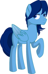 Size: 1881x2910 | Tagged: artist needed, safe, derpibooru exclusive, oc, oc only, oc:moonbow dew, pegasus, pony, 2021 community collab, derpibooru community collaboration, male, raised hoof, simple background, solo, stallion, transparent background