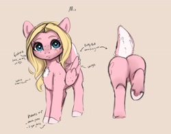 Size: 3235x2539 | Tagged: safe, artist:miokomata, oc, oc only, oc:mio, pegasus, pony, butt, deer tail, female, freckles, high res, mare, plot, reference sheet, shoulder freckles, simple background, solo, underhoof, wing freckles