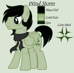 Size: 1280x1260 | Tagged: safe, artist:lominicinfinity, oc, oc only, oc:wind storm, pegasus, pony, clothes, male, reference sheet, scarf, simple background, solo, stallion