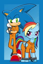 Size: 2262x3321 | Tagged: safe, artist:tylerbucket, rainbow dash, g4, bound wings, chained, clothes, cuffs, duo, frustrated, high res, male, prison outfit, prisoner rd, sonic the hedgehog, sonic the hedgehog (series), wings