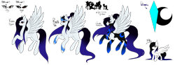 Size: 4000x1500 | Tagged: safe, artist:minelvi, oc, oc only, oc:cyan crystal, pegasus, pony, chest fluff, clothes, eyelashes, female, filly, mare, pegasus oc, reference sheet, simple background, transparent background, wings