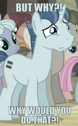 Size: 791x1280 | Tagged: safe, edit, edited screencap, screencap, dusk drift, party favor, pony, unicorn, g4, the cutie map, background pony, caption, crying, cute, equal cutie mark, favorbetes, image macro, male, reaction image, sad, sadorable, solo focus, stallion, text, why would you do that