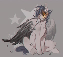 Size: 3352x3024 | Tagged: safe, artist:swoops_star, oc, oc only, pegasus, pony, gray background, high res, signature, simple background, sitting, solo, wings