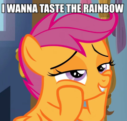 Size: 692x661 | Tagged: safe, edit, edited screencap, screencap, scootaloo, pony, g4, the last crusade, caption, cropped, image macro, implied lesbian, implied licking, implied oral, implied scootadash, implied shipping, solo, text