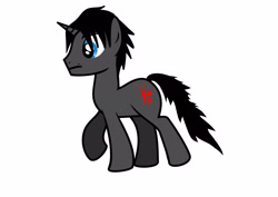 Size: 3508x2480 | Tagged: safe, artist:darkland_production, oc, oc only, oc:void master, pony, black, high res, simple background, solo, symbols, white background
