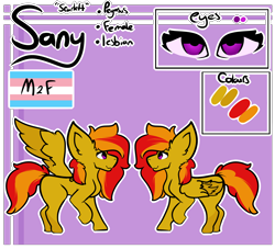 Size: 2200x2000 | Tagged: safe, artist:lamb-shack, oc, oc only, oc:sunrise flair, pegasus, pony, big ears, female, high res, reference sheet, solo