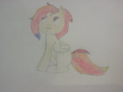 Size: 1600x1200 | Tagged: safe, artist:sanybaby, oc, oc only, oc:sunrise flair, pegasus, pony, female, folded wings, sitting, small ears, solo, traditional art, wings