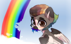 Size: 1280x786 | Tagged: safe, artist:azaani, oc, oc only, pegasus, pony, chibi, cloud, cute, eating, looking at you, male, pegasus oc, rainbow, simple background, sky, solo, wings