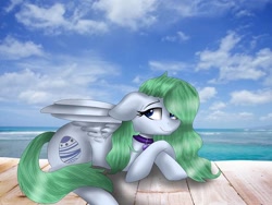 Size: 1080x810 | Tagged: safe, artist:rxndxm.artist, oc, oc only, pegasus, pony, cloud, collar, eyelashes, female, lying down, mare, outdoors, pegasus oc, prone, smiling, solo, wings