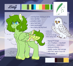 Size: 3000x2700 | Tagged: safe, artist:liefsong, oc, oc only, oc:lief, oc:tori, bird, hippogriff, owl, snowy owl, chest fluff, colored wings, cutie mark, feathered fetlocks, high res, multicolored wings, pet, reference sheet, scar, solo, tail feathers, wings